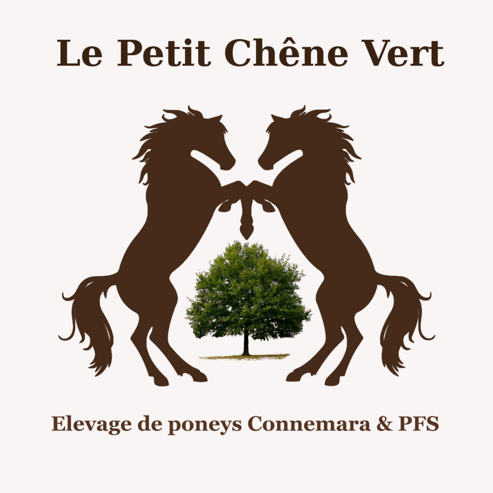 Le petit chene vert